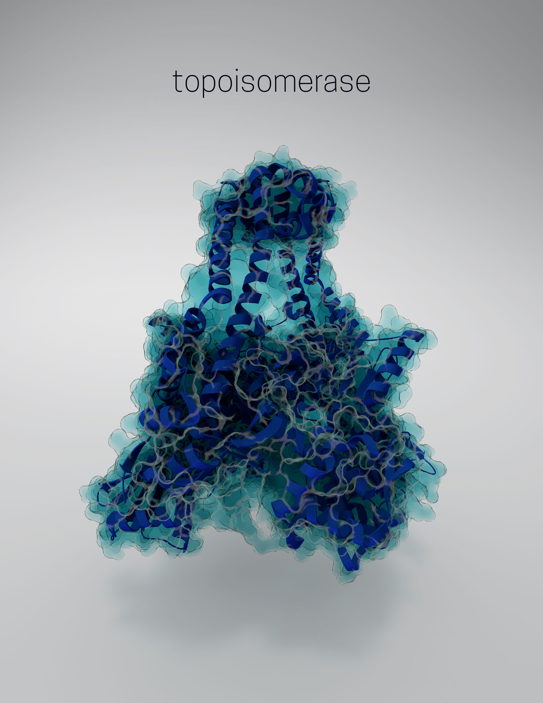 3D rendering of topoisomerase